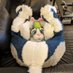 Luka Cabbit @ LVFC 🔞 (@nudkacabbit) Twitter profile photo Luka Cabbit @ LVFC 🔞 (@nudkacabbit) Twitter profile photo