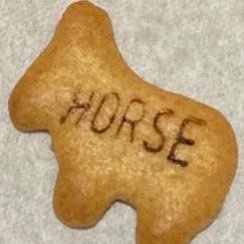 yamanoginsan's profile picture. クラオタ🎻古楽たみたみ🌻 📚オルガン好き🎹ハシビロコウ。