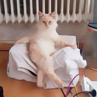 Mahimahesh1234's profile picture. babu🫶🏻