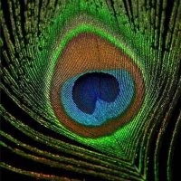 Anjali (@anjalisti) 's Twitter Profile Photo Anjali (@anjalisti) 's Twitter Profile Photo