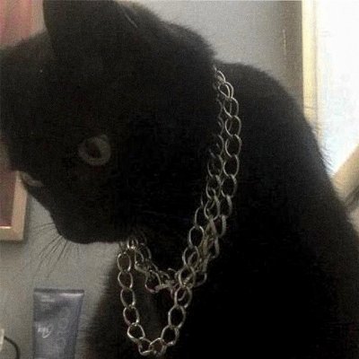 Ryuurevv's profile picture. 🦇 🦇 🦇