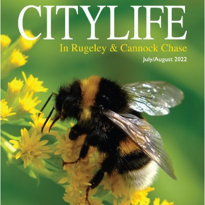 City Life in Rugeley and Cannock Chase is a free quality bi-monthly community magazine delivered to businesses and houses in Rugeley and around Cannock Chase