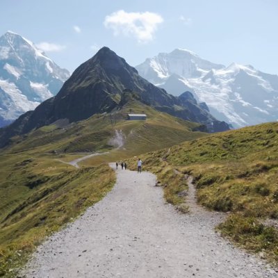 wiljonherondale's profile picture. 