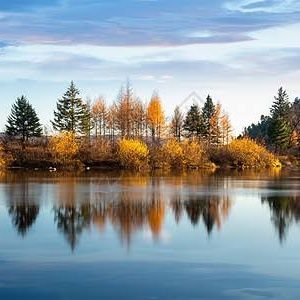 llamazingyy's profile picture. 