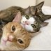doctorcaty (@doctorcaty67) Twitter profile photo doctorcaty (@doctorcaty67) Twitter profile photo