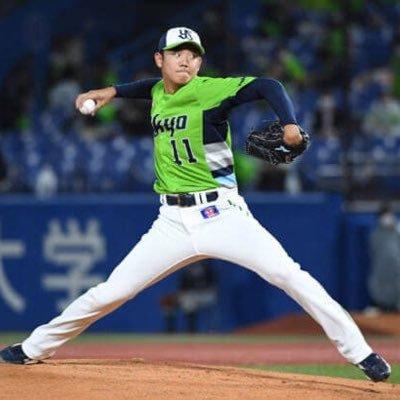TRANSAM1006's profile picture. #swallows 終わりやね