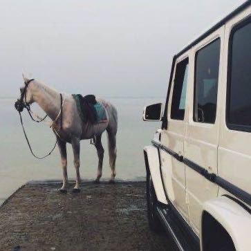 dabiaalmazrouei Profile Picture