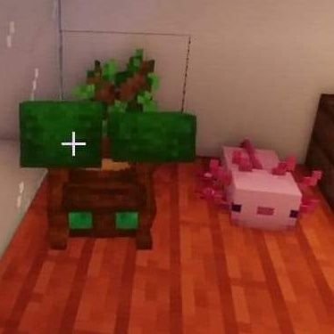 👾Redstone 👽🤙さんのプロフィール画像