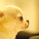 Sydney Erin - @Kh373Erin65 - Twitter