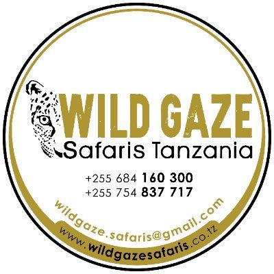 We are one of Tanzania's most experienced safari operators. We have developed a selection of safaris throughout Tanzania, offering an exceptional experiences.