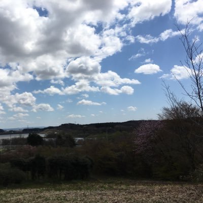 忘備録。うつ。基本不眠症です。精神手帳は3級。無言フォロー容赦いただければ幸いです。 https://t.co/hblzzLQovH 気になったことを自分勝手にtweetします。
Amazon:https://t.co/1q5WQRunLi