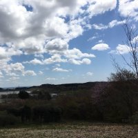f3210 (@d3554h87) 's Twitter Profile