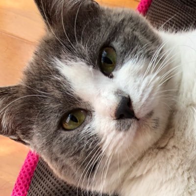 ユウさんのプロフィール画像