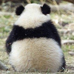 eatking's profile picture. いろんな人と楽しい時間を過ごせたら成仏できると思ってます。平和=パンダじゃないかなって思ってます。帽子とスニーカーが大好きです。面倒なことは嫌なので、誰か知らない個人アカウントはフォローできません。