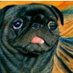 OffDaGridPug (@offdaGridPug) Twitter profile photo