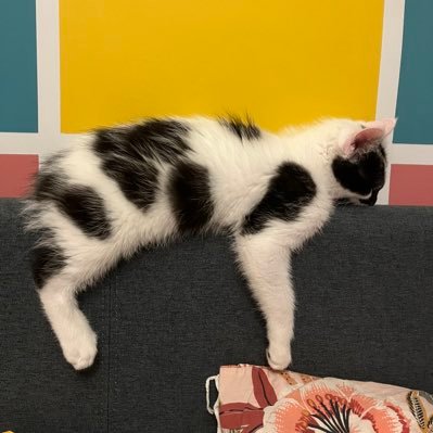 gowen_megan's profile picture. full of drama