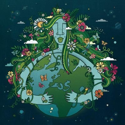 LL_BZH's profile picture. 