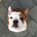 Kim Chartrand - @kChartrand23 - Twitter