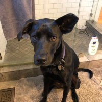 Sarah Jacobs (@sarahjteacher) 's Twitter Profile Photo Sarah Jacobs (@sarahjteacher) 's Twitter Profile Photo