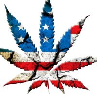The_GrimReefer (@the_grimreefer1) 's Twitter Profile