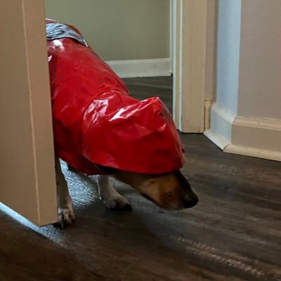 freemarcet's profile picture. 