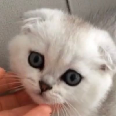 elegance1107's profile picture. 