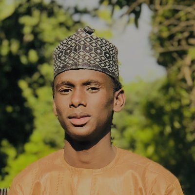 SadiqLadan4's profile picture. 