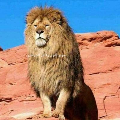 مجنن الجن وقاهر الشياطين
دام كوكب الارض يلف ويدور ايش تتوقع من سكانه