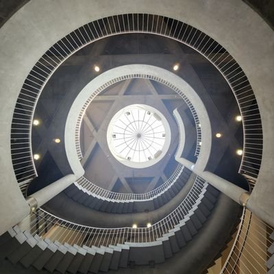 kynonu_'s profile picture. Golden Bear 26