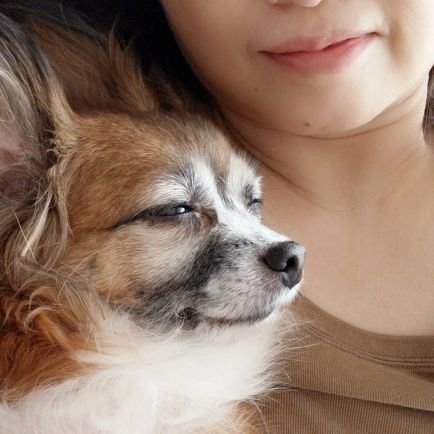 ママ☆I love chihuahua,角松敏生［沼］☆時々FF外リプ失礼します～犬や猫、動物への虐待動画は、見えたら即ミュートします。もともと犬猫の投稿メインと好きな事の情報収集でしたが『気づき』を得てから政治や社会問題、世界のことに目を向けてます。参政党支持。失礼な者、嫌な人はブロックさせていただきます。