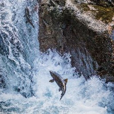 RaviKiranPeyya2's profile picture. 