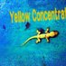 yellowconc