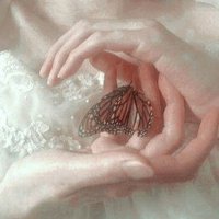 dee • 🌸 • readings closed (@venusdivination) Twitter profile photo