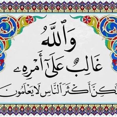 lameec's profile picture. 