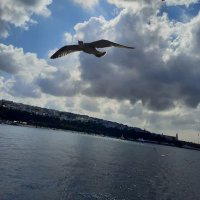 panbix (@panbix1) Twitter profile photo