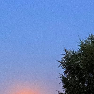 skate_4001's profile picture. 🇮🇪