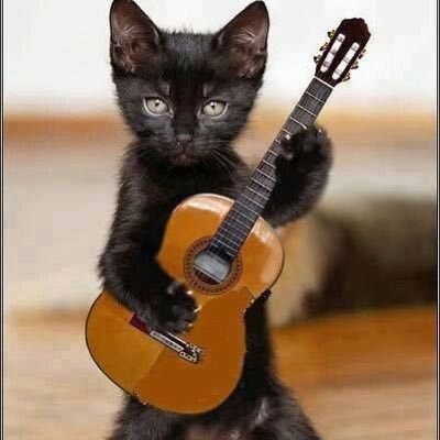 vuviV87lthCCqKV's profile picture. 情報収集してますので沢山リポストしてます。たまに呟きます。無言でフォローしたりしますが、どうぞよろしくお願いします(´-ω-`) 固定記事はブックマークも兼ねています。