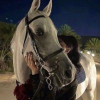 𝚜𝚝𝚊𝚛✨ (@jood_148) Twitter profile photo