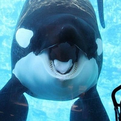 Nutscoco69's profile picture.