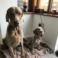 Eros & Apollo! (@erosmacvyas) 's Twitter Profile