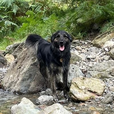 joedunford200's profile picture. It's a bit rubbish. Views are my own etc