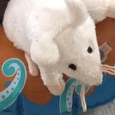 Tess (@jimsmith1856) 's Twitter Profile Photo