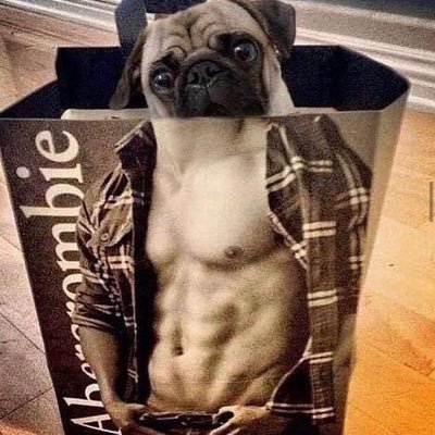Alex20874409's profile picture. I work hard, play harder. Just living the dream.