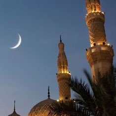 crnbdtj's profile picture. الله أكبر