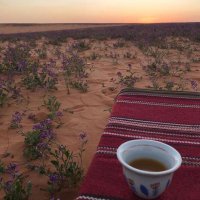 عروب (@alaroubku) 's Twitter Profile