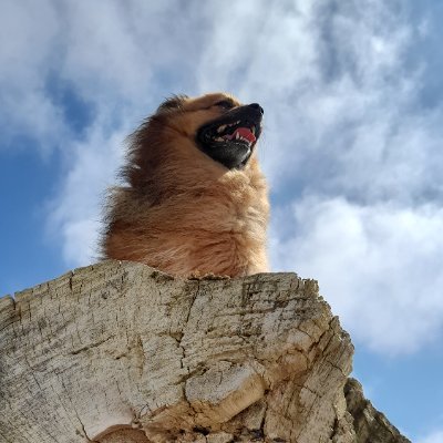 Redobull Profile
