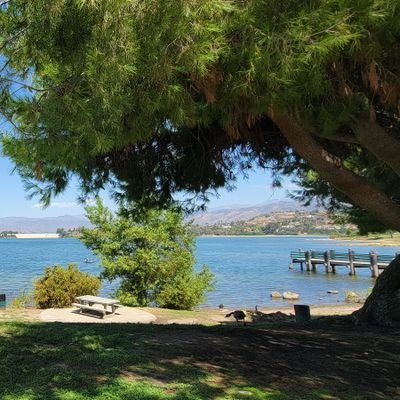 Lightdark1981's profile picture. 