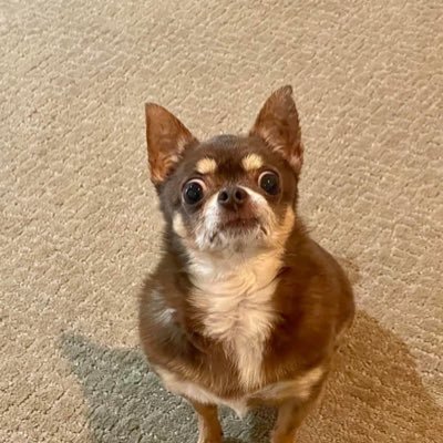 hailsatan4evr's profile picture. 