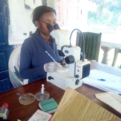 Medical Entomologist🦟
# Neglected Tropical Diseases!! Onchocerciasis and Loasis first
# Bioecology, diversity and Vector Control
