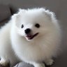 29man_birds's profile picture. しばらくAIで遊んでます